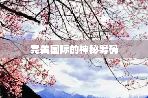 完美国际的神秘筹码