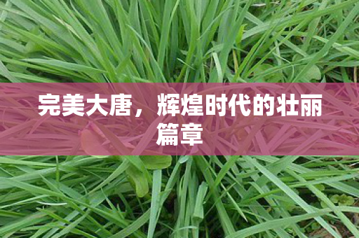完美大唐,辉煌时代的壮丽篇章 完美大唐,辉煌时代的壮丽篇章