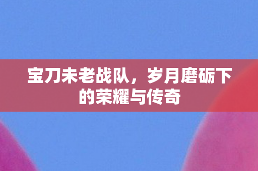 宝刀未老战队,岁月磨砺下的荣耀与传奇 宝刀未老战队,岁月磨砺下的荣耀与传奇