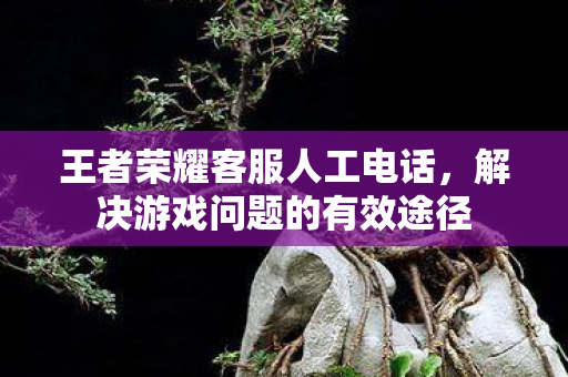 王者荣耀客服人工电话,解决游戏问题的有效途径 王者荣耀客服人工电话,解决游戏问题的有效途径