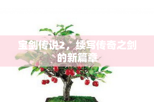 宝剑传说2,续写传奇之剑的新篇章 宝剑传说2,续写传奇之剑的新篇章