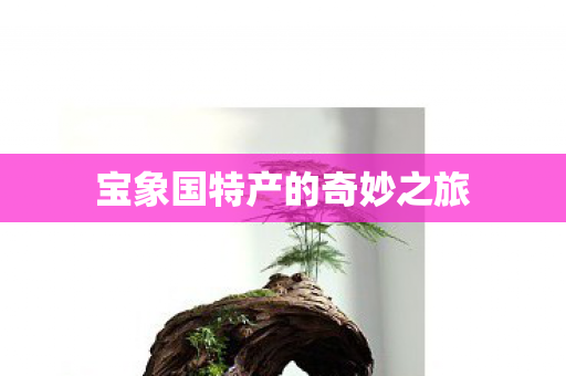 宝象国特产的奇妙之旅 宝象国特产的奇妙之旅