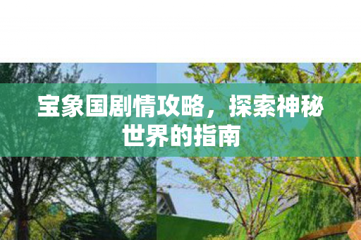 宝象国剧情攻略,探索神秘世界的指南 宝象国剧情攻略,探索神秘世界的指南