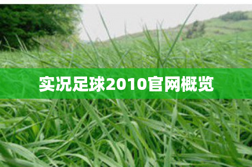 实况足球2010官网概览 实况足球2010官网概览