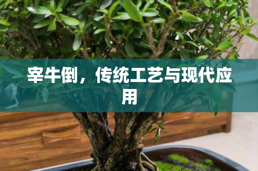 宰牛倒,传统工艺与现代应用 宰牛倒,传统工艺与现代应用
