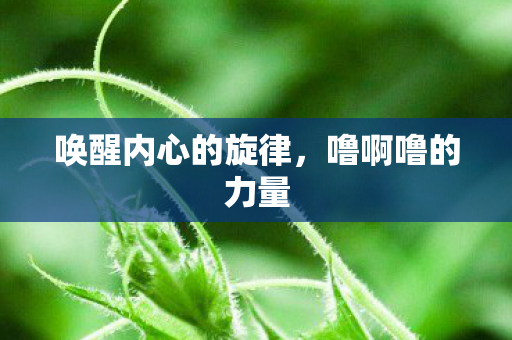 唤醒内心的旋律,噜啊噜的力量 唤醒内心的旋律,噜啊噜的力量