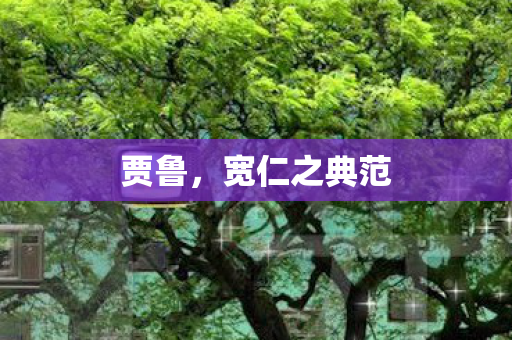 贾鲁,宽仁之典范 贾鲁,宽仁之典范