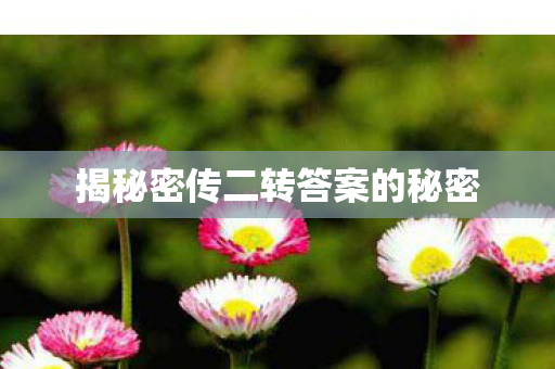 揭秘密传二转答案的秘密 揭秘密传二转答案的秘密