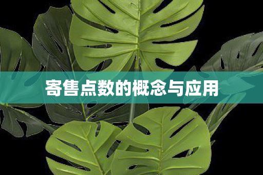 寄售点数的概念与应用