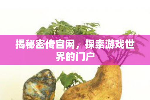 揭秘密传官网,探索游戏世界的门户 揭秘密传官网,探索游戏世界的门户