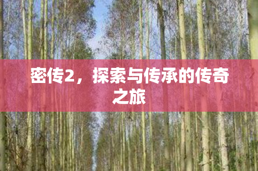 密传2,探索与传承的传奇之旅 密传2,探索与传承的传奇之旅