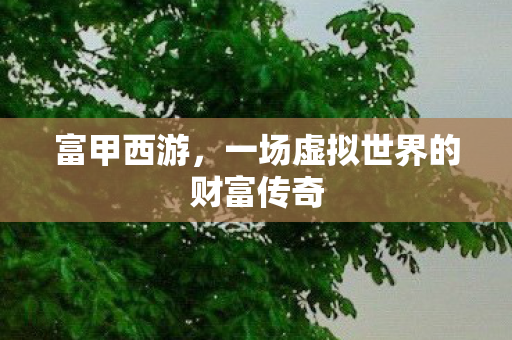 富甲西游,一场虚拟世界的财富传奇 富甲西游,一场虚拟世界的财富传奇