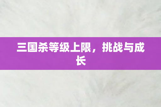 三国杀等级上限,挑战与成长 三国杀等级上限,挑战与成长