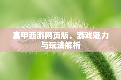 富甲西游网页版,游戏魅力与玩法解析 富甲西游网页版,游戏魅力与玩法解析