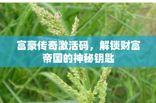 富豪传奇激活码,解锁财富帝国的神秘钥匙 富豪传奇激活码,解锁财富帝国的神秘钥匙