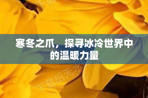 寒冬之爪,探寻冰冷世界中的温暖力量 寒冬之爪,探寻冰冷世界中的温暖力量
