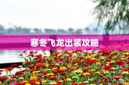 寒冬飞龙出装攻略 寒冬飞龙出装攻略