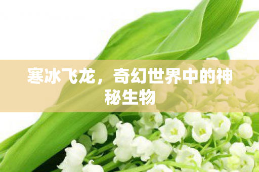 寒冰飞龙,奇幻世界中的神秘生物 寒冰飞龙,奇幻世界中的神秘生物