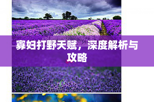 寡妇打野天赋,深度解析与攻略 寡妇打野天赋,深度解析与攻略