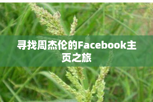 寻找周杰伦的Facebook主页之旅 寻找周杰伦的Facebook主页之旅