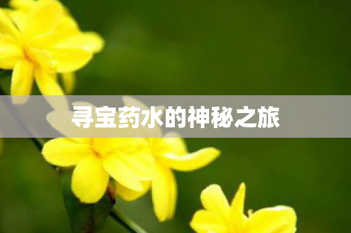寻宝药水的神秘之旅