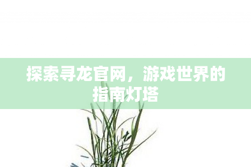 探索寻龙官网,游戏世界的指南灯塔 探索寻龙官网,游戏世界的指南灯塔
