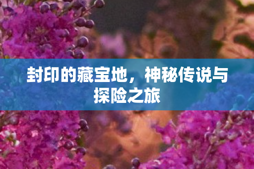 封印的藏宝地,神秘传说与探险之旅 封印的藏宝地,神秘传说与探险之旅