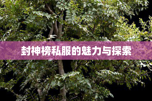 封神榜私服的魅力与探索