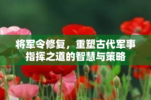 将军令修复,重塑古代军事指挥之道的智慧与策略 将军令修复,重塑古代军事指挥之道的智慧与策略