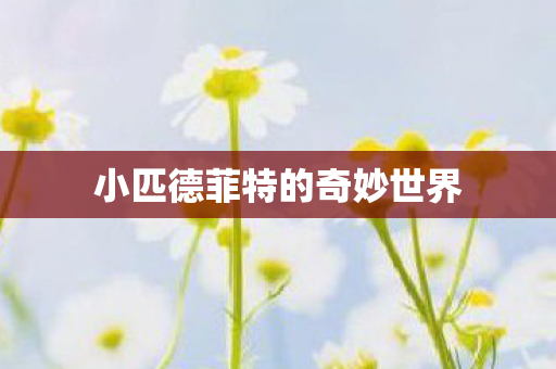 小匹德菲特的奇妙世界 小匹德菲特的奇妙世界