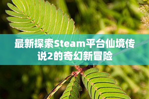 最新探索Steam平台仙境传说2的奇幻新冒险 最新探索Steam平台仙境传说2的奇幻新冒险