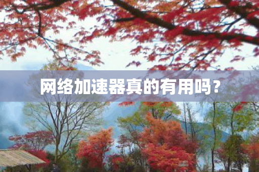 网络加速器真的有用吗? 网络加速器真的有用吗?