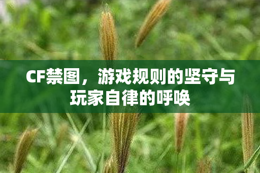 CF禁图,游戏规则的坚守与玩家自律的呼唤 CF禁图,游戏规则的坚守与玩家自律的呼唤