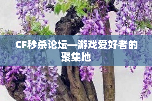 CF秒杀论坛—游戏爱好者的聚集地 CF秒杀论坛—游戏爱好者的聚集地