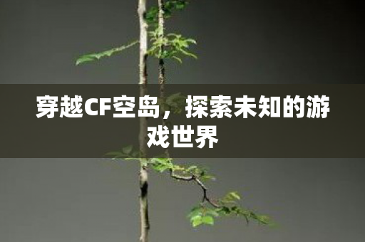 穿越CF空岛，探索未知的游戏世界