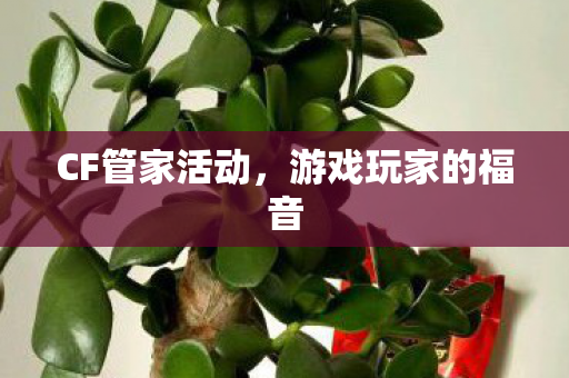 CF管家活动，游戏玩家的福音