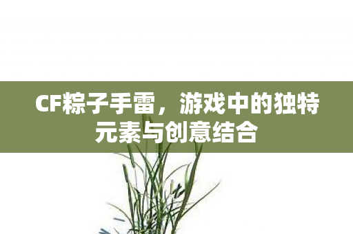 CF粽子手雷,游戏中的独特元素与创意结合 CF粽子手雷,游戏中的独特元素与创意结合