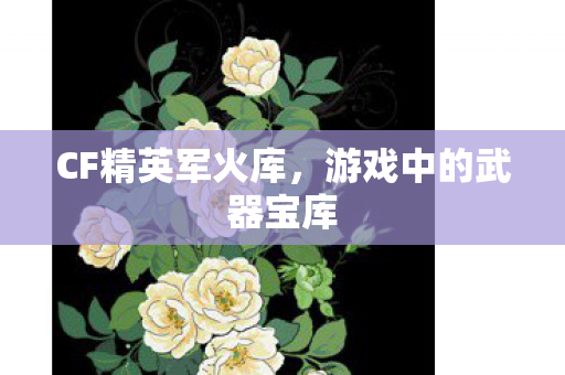 CF精英军火库,游戏中的武器宝库 CF精英军火库,游戏中的武器宝库