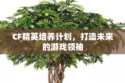 CF精英培养计划，打造未来的游戏领袖