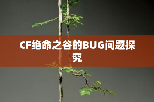 CF绝命之谷的BUG问题探究 CF绝命之谷的BUG问题探究