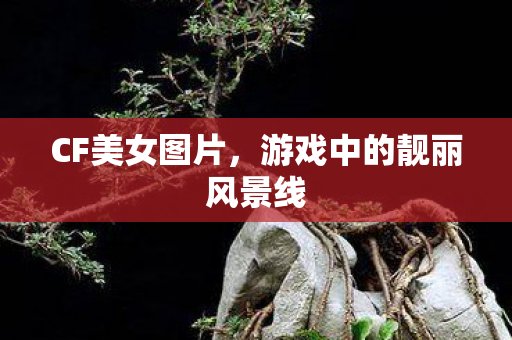 CF美女图片,游戏中的靓丽风景线 CF美女图片,游戏中的靓丽风景线