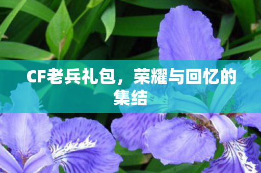 CF老兵礼包，荣耀与回忆的集结