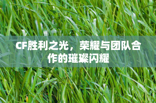CF胜利之光,荣耀与团队合作的璀璨闪耀 CF胜利之光,荣耀与团队合作的璀璨闪耀
