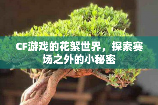 CF游戏的花絮世界,探索赛场之外的小秘密 CF游戏的花絮世界,探索赛场之外的小秘密