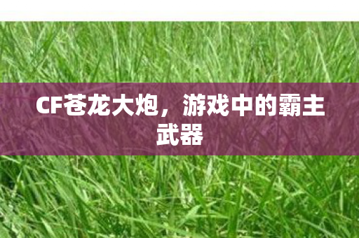 CF苍龙大炮,游戏中的霸主武器 CF苍龙大炮,游戏中的霸主武器