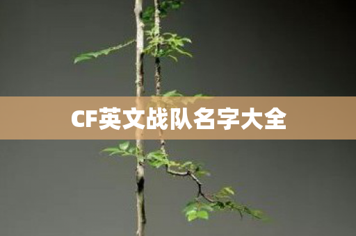 CF英文战队名字大全 CF英文战队名字大全