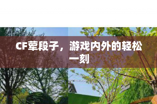 CF荤段子,游戏内外的轻松一刻 CF荤段子,游戏内外的轻松一刻