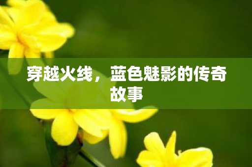 穿越火线,蓝色魅影的传奇故事 穿越火线,蓝色魅影的传奇故事