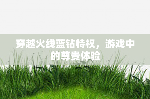 穿越火线蓝钻特权,游戏中的尊贵体验 穿越火线蓝钻特权,游戏中的尊贵体验