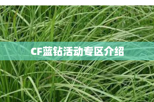 CF蓝钻活动专区介绍 CF蓝钻活动专区介绍